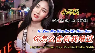 小阿枫 - 你怎么舍得我难过 (DJ抖音版) Ni Zen Me She De Wo Nan Guo【Bagaimana Kamu Tega Membiarkanku Sedih】Terjemahan