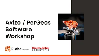 EXCITE and Thermo Fisher Scientific workshop on Avizo/PerGeos software