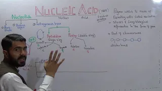 Nucleic Acid  and its types Lec#8 Ch#2 Bio1 Nucleotide and its types DNA and RNA in Urdu Hindi