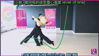 Dmitry Zharkov & Olga Kulikova 會呼吸的重心 level of line figure 迪馬