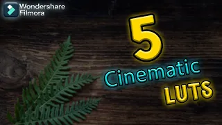 Top 5 Best Free Cinematic LUTs For Filmora 12 | FILMORA HINDI