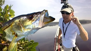 The Sounds of Snook: How to Catch Fish with Your Ears