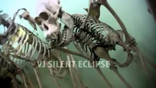 Halloween showreel - VJ Silent Eclipse