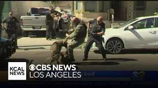 Caught On Video: Police K-9 Attacked By Pit Bull In Anaheim