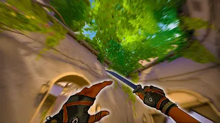 pov: you just got your first knife skin and its the xenohunter knife..