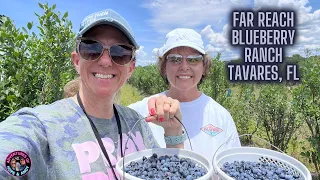 Far Reach Blueberry Ranch Tavares, FL!