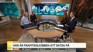 Här är framtidsjobben att satsa på | Nyhetsmorgon | TV4 & TV4 Play