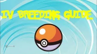 IV Breeding Guide Pokemon X and Y Version (How to Get a Perfect Pokemon)