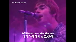 Oasis - Whatever + Octopus's Garden + All the young dudes