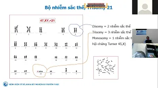 [BV Từ Dũ] - Các xét nghiệm trong sàng lọc và chẩn đoán trước sinh | TS.BS Nguyễn Khắc Hân Hoan