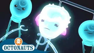 Octonauts - Surrounded | Cartoons for Kids | Underwater Sea Education