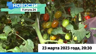 Новости Алтайского края 23 марта 2023 года, выпуск в 20:30