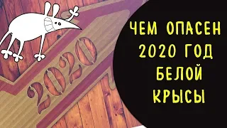 Чем опасен 2020 год белой крысы. как подготовиться