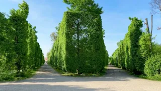 Augarten park | Austria