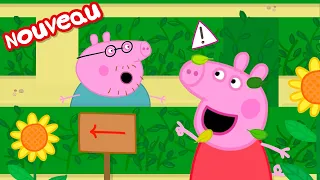 Les histoires de Peppa Pig | Le labyrinthe | Épisodes de Peppa Pig