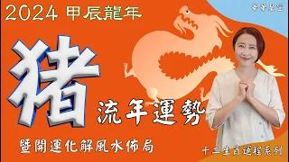 生肖屬豬2024運勢 暨 流年風水開運化解佈局 #2024生肖運勢 #2024屬豬生肖運勢 #屬豬2024運勢#豬2024運勢#2024十二生肖運勢【華華星空-2024十二生肖運程系列】