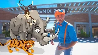 Blippi Visits a Zoo (Phoenix Zoo) | Blippi Full Episodes | Fun Animals for Children | Blippi Toys