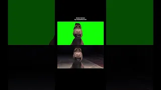 Donkey Staring Meme - Green Screen