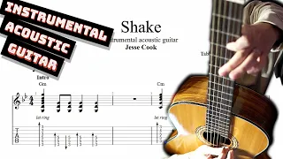 Jesse Cook - Shake TAB - acoustic spanish guitar solo tabs (PDF + Guitar Pro)