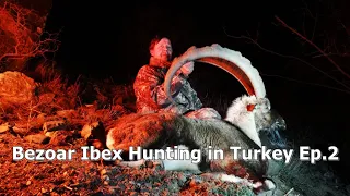 Bezoar Ibex Hunting in Turkey Ep.2