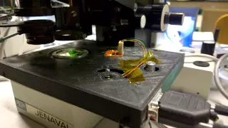 Mueller matrix microscopy measurement