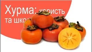 Хурма: користь та шкода