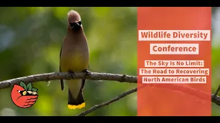 The Sky Is No Limit: The Road to Recovering North American Birds
