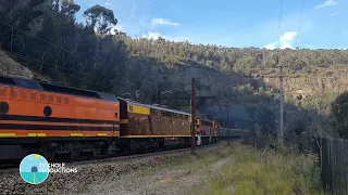 Diesel Locomotive CLF4, 4204, 4486 & 4464 - Vintage Rail Journey - Golden West Tour - February 2022