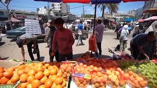 Food prices fall in Gaza but many Palestinians have no money to buy