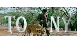 kannada new songs|  Tony Kannada Movie | Title Song - Aindrita Ray, Srinagar Kitty