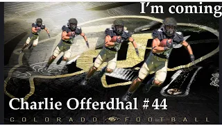 Colorado Buffaloes Charlie Offerdahl wont be a walk-on for long! Spring Practice highlight