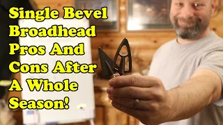 Single Bevel Broad Heads Pros And Cons After A whole Hunting Season