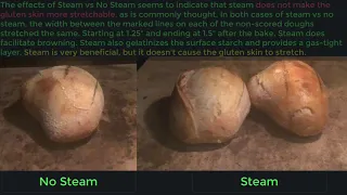 How does additional Steam effect Bread Dough