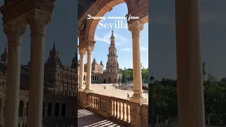 Sevilla is the perfect combination of arts, culture, and stunning architecture 💃🏻 #sevilla #spain