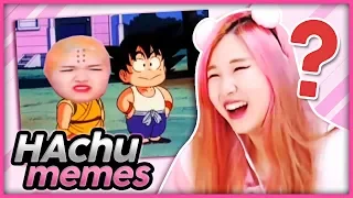 What Is My Chat Making!? - HAchu Memes!