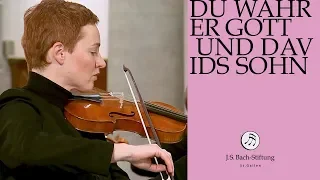 J.S. Bach - Cantata BWV 23 "Du wahrer Gott und Davids Sohn" (J.S. Bach Foundation)