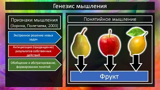 15. Мышление животных (ПС1А22) 21 ноября 2022