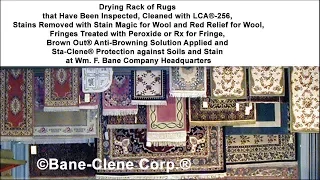 How to Identify, Clean and Protect Area Rugs and Oriental Rugs and Increase Your Sales and Profits!