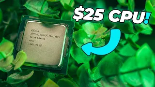 The Xeon E3 1241 V3 is the BEST Budget CPU!