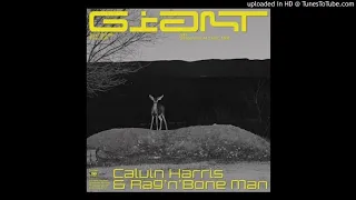 Calvin Harris, RagnBone Man - Giant (Extended Mix)