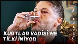 Tilki Andrei, Vadiye Geliyor | Kurtlar Vadisi Pusu