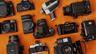 My Film Camera Collection in 2024