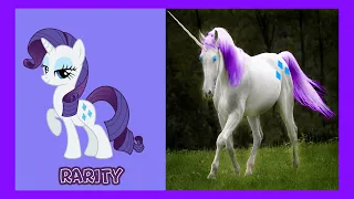 My Little Pony: All Characters IN REAL LIFE | MLP