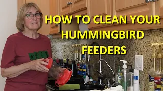 How to Clean Your Hummingbird Feeders