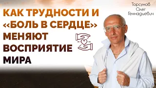 Как трудности и «боль в сердце» меняют восприятие мира. Торсунов О. Г.