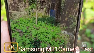 Samsung M31 Camera Test | M31 Camera Test | Samsung M31 Review |New Phone 2021| Galaxy M31 Camera