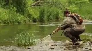 North Bear Creek Dry Fly Brown Trout