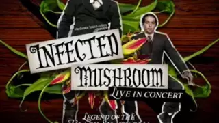 The Doors - Riders on the storm (infected mushroom rmx)