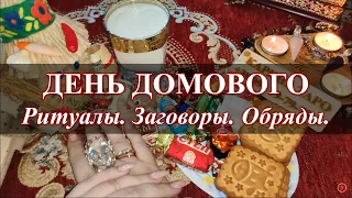 10 февраля ПРАЗДНИК ДОМОВОГО! Ритуалы, заговоры, обряды. Карина Таро