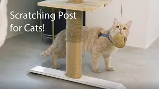 DIY Your Standing Desk - Scratching Post for Cats!